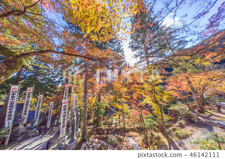 Autumn leaves of Taniyama Hakuenji 46142111