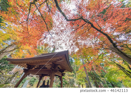 Autumn leaves of Taniyama Hakuenji 46142113