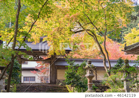 Autumn leaves of Taniyama Hakuenji 46142119