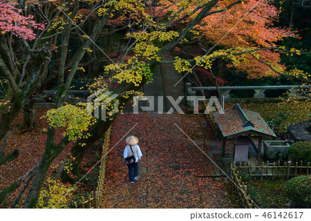 四國Reijo No. 82 Nokobo Nekaji秋葉和朝聖8（高松市中山町） 46142617