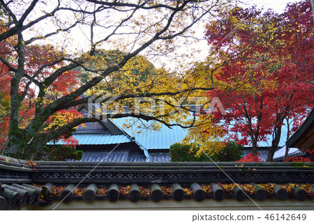四國Reijo 82 No. 80 Place Koukai秋葉21（高松市中山町） 46142649