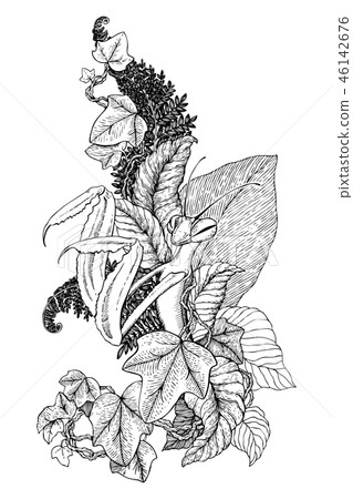 Graphic decorative image of the Mantis. The linear drawing isolated on a white background. Vector Graphic decorative image of the Mantis. The linear drawing isolated on a white background. Vector 46142676