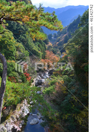 從Nakatsu Gorge 10觀景台（Kinagawa Yodogawa-gun Ninjyukawacho） 46142742