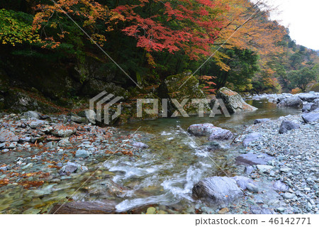 Aoi Valley Red 10 Otomegawara (Kinagawa Prefecture Yodogawa-gun Niigawacho) 46142771