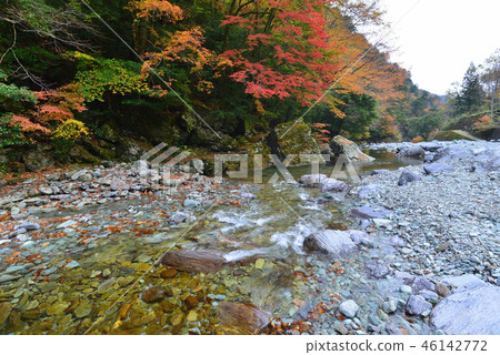 蒼井谷秋葉11 Otomegawara(Kinagawa Yodogawa-gun Niigawacho) 蒼井谷秋葉11 Otomegawara(Kinagawa Yodogawa-gun Niigawacho) 46142772