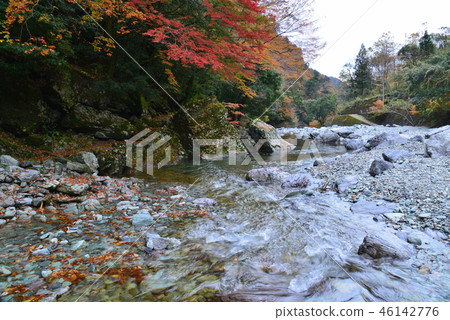 Yasui Valley Autumn leaves 15 Otogawara (Kinagawa Prefecture Yodogawa-gun Niigawacho) 46142776