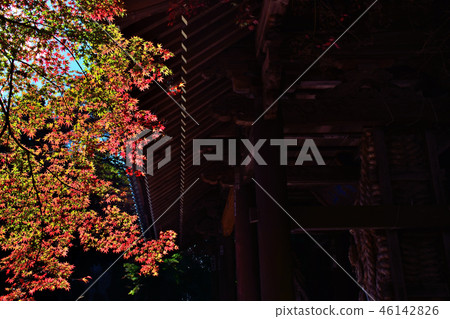 Nekodera Yamamon秋葉(四國Reijo第82廣告站高松市,香川縣) Nekodera Yamamon秋葉(四國Reijo第82廣告站高松市,香川縣) 46142826