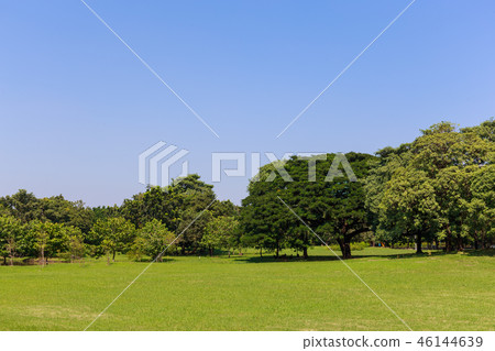 Grass field with tree and sky Grass field with tree and sky 46144639