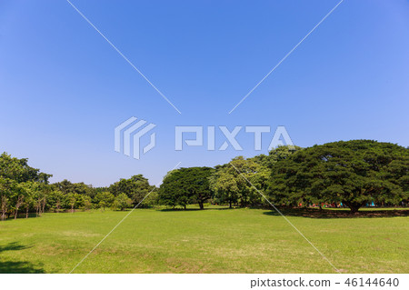 Grass field with tree and sky Grass field with tree and sky 46144640