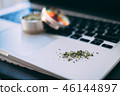 大麻與筆電 46144897