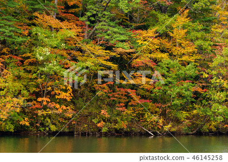 湖的秋葉在湖12結束時 46145258