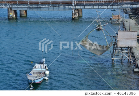 今津河的白鳥釣魚 今津河的白鳥釣魚 46145396