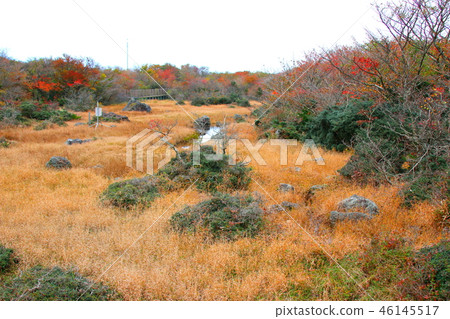 1100 Highland Marsh，拉姆薩爾濕地，秋葉， 46145517