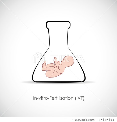 fertility reproduction of ovum and spermatozoon IVF 46146153