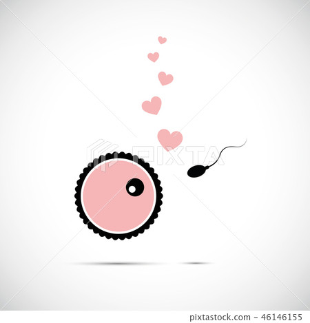 fertility reproduction of ovum and spermatozoon cartoon 46146155