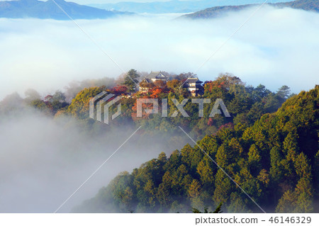 天堂城堡1983 天堂城堡1983 46146329