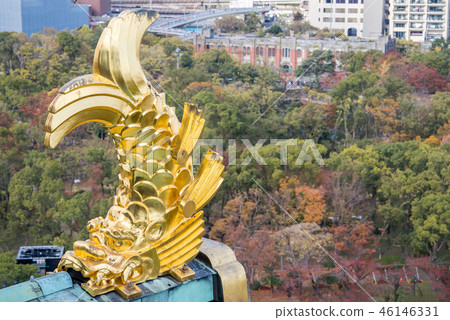 鯱鉾 吉祥物 神獸 聖獸 吞脊神獸 日本 秋天 大阪城 osaka castle 46146331
