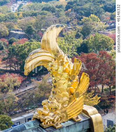 鯱鉾 吉祥物 神獸 聖獸 吞脊神獸 日本 秋天 大阪城 osaka castle 46146332