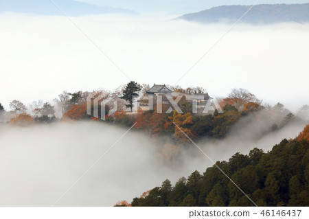 天堂城堡3283 天堂城堡3283 46146437
