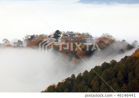 天堂城堡3285 天堂城堡3285 46146441