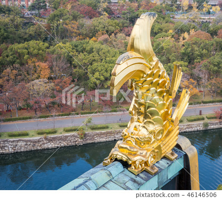 鯱鉾 吉祥物 神獸 聖獸 吞脊神獸 日本 秋天 大阪城 osaka castle 46146506
