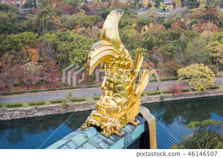 鯱鉾 吉祥物 神獸 聖獸 吞脊神獸 日本 秋天 大阪城 osaka castle 46146507