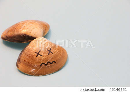 A clam shell depicting a face picture. A clam shell depicting a face picture. 46146561