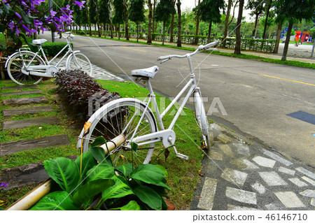 White Bicycle in the Garden 46146710