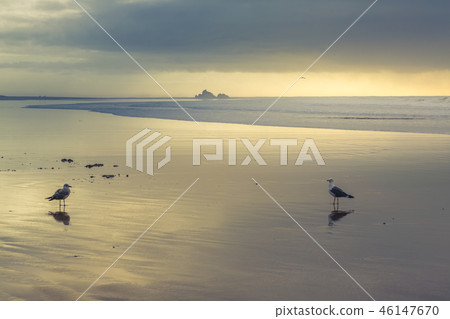 Early evening at Tagharte Beach near Essaouira 46147670