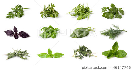 Fresh spices and herbs 46147746