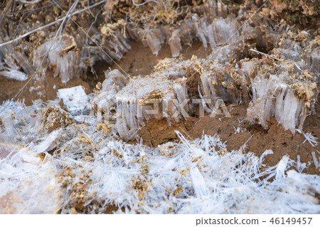 Shosthashira冰霜崗位 46149457