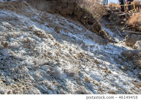 Shosthashira冰霜崗位 46149458