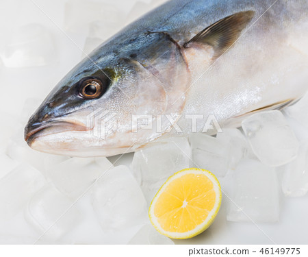 fresh raw tuna fish 46149775