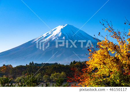 “山梨縣”日本的秋/富士山和秋葉 “山梨縣”日本的秋/富士山和秋葉 46150117