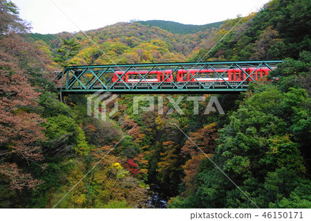 Hayakawa Bridge (Ideyama iron bridge) Hakone mountain climbing train in November Hakone 102 colored leaves 46150171