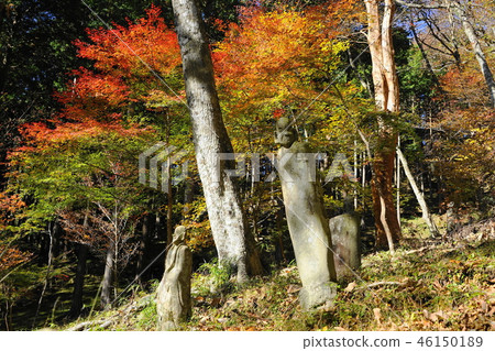 箱根84長安寺/五百鹿晗秋葉 46150189