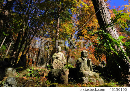 箱根83長安寺/五百嵐山的秋葉 箱根83長安寺/五百嵐山的秋葉 46150190
