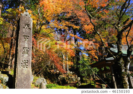 箱根80長安寺/五百路秋葉 46150193