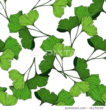 Vector Green ginkgo leaf. Engraved ink art. Seamless background pattern. Fabric wallpaper print 46150289