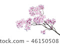 櫻花圖像alpha通道 46150508