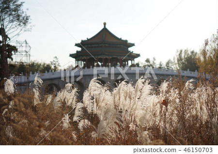 A lonely palace A lonely palace 46150703