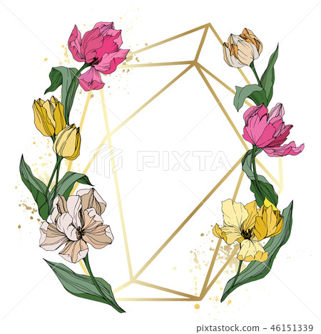 Vector Tulip engraved ink art. Floral botanical flower. Spring leaf wildflower isolated. Frame 46151339