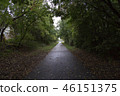一條路在自然中 46151375