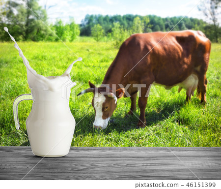 A glass jug of milk with splash on the background of cow 46151399