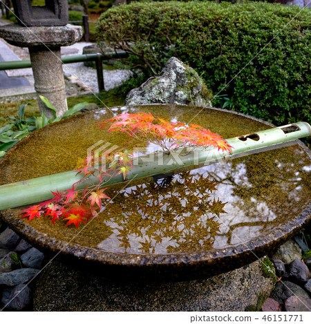 Water gullave of Enkoji Temple Water gullave of Enkoji Temple 46151771