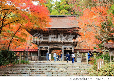Autumn leaves of Oyada Momiji valley Autumn leaves of Oyada Momiji valley 46152238