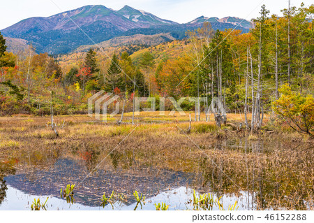 “長野縣>秋季的高倉高原 46152288