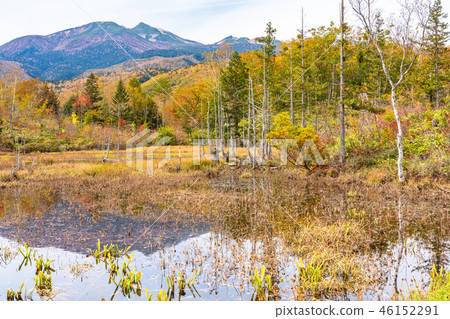 << Nagano Prefecture> Norikura plateau in the fall 46152291