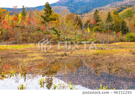 << Nagano Prefecture> Norikura plateau in the fall 46152293