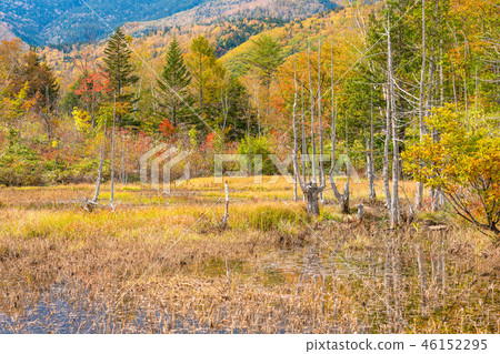 “長野縣>秋季的高倉高原 46152295